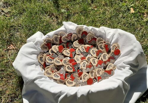 20230715_100057-scaled-q84tdva5avwem5t