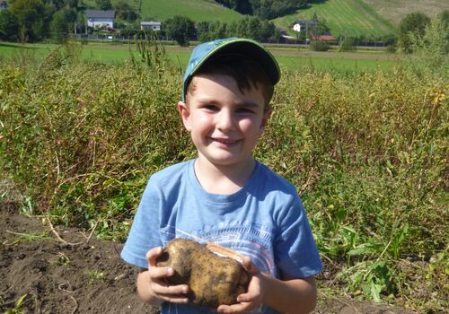 9-P1020414-scaled-bj7nqf2b4p3vead