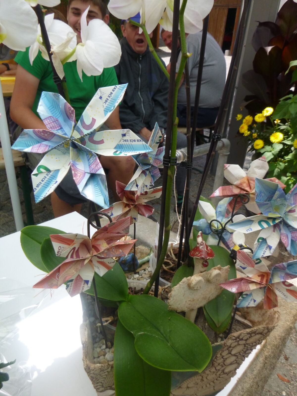 aus Geldscheinen (10 Euro- und 20 Euro-Scheine) gefaltete Blumen, die in einem Blumenstock stecken