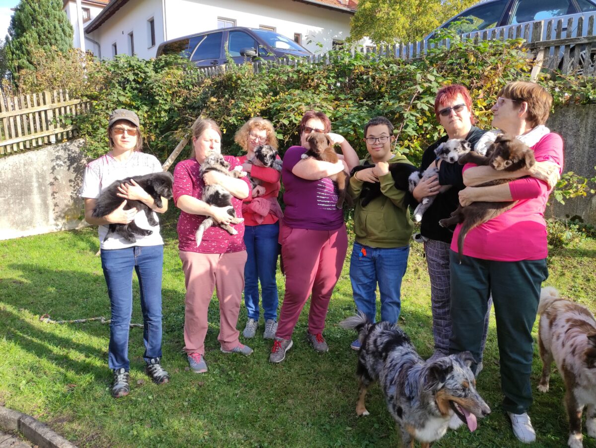 sieben Personen, stehend, alle mit Welpen im Arm