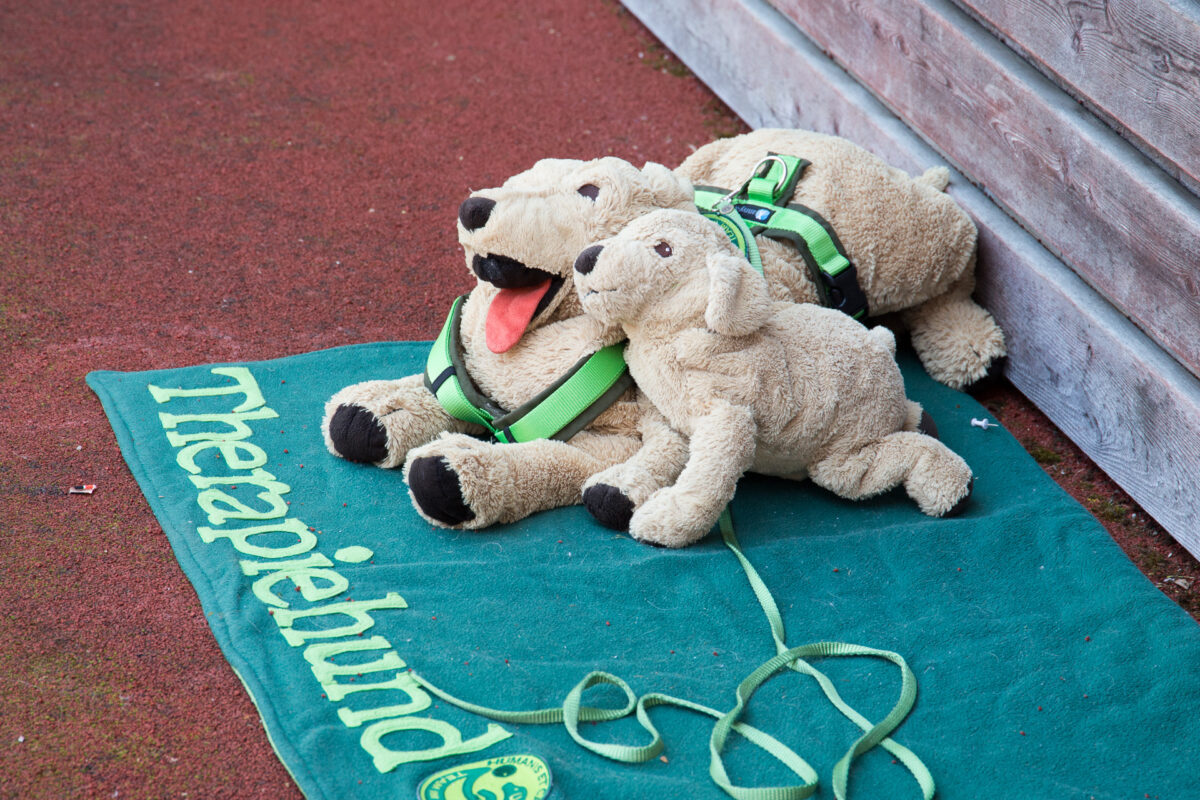 Therapiehunde - Plüschhunde
