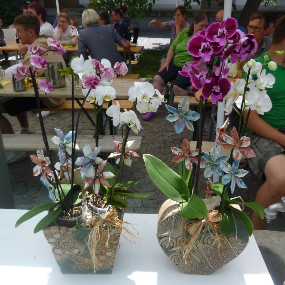 zwei Phalinopsis-Orchideen-Blumenstöcke mit pinken und weißen Blüten mit handgefertigten Keramik-Übertöpfen. In der Erde der Blumenstöcke  stecken  zu Blüten gefaltete Geldscheine (10 Euro und 20 Euro Scheine)